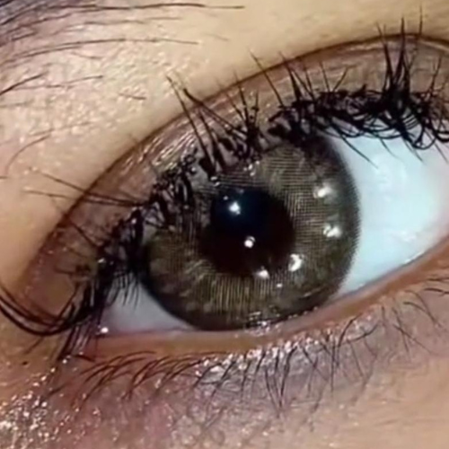 Myakhie Brown Eyeshare