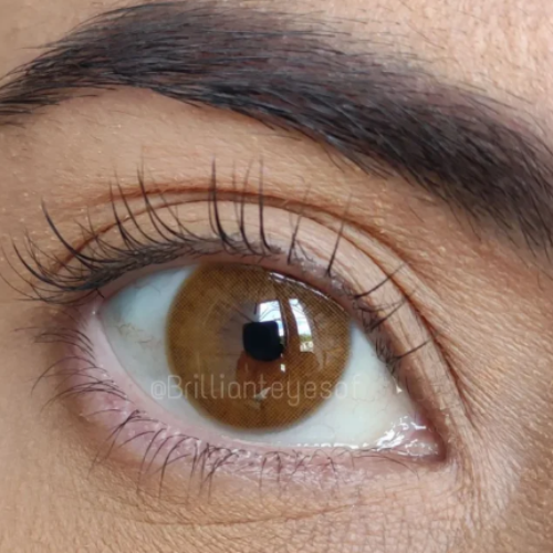 Maldives Brown Urban Layer