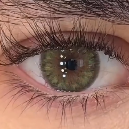 Cleopatra Green Urban Layer