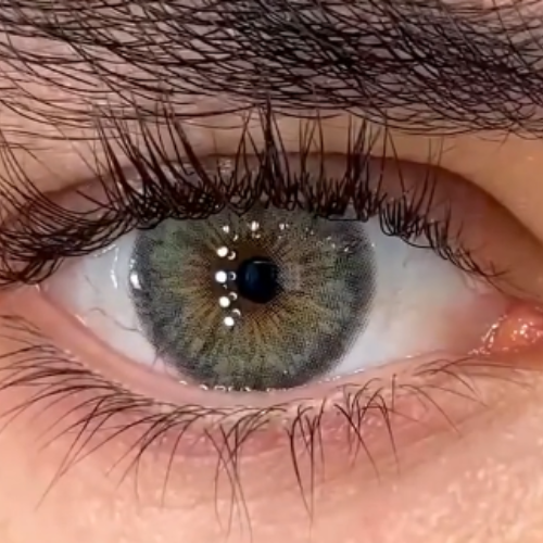 Cleopatra Gray Urban Layer