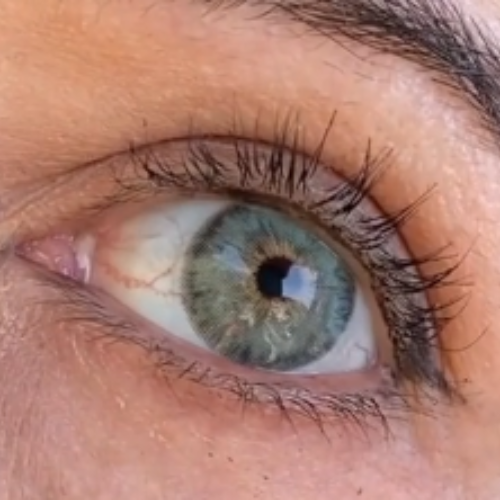 Siri Green Urban Layer