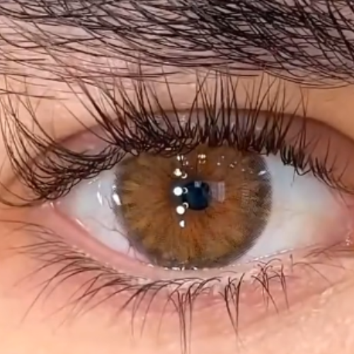 Cleopatra Hazel Urban Layer