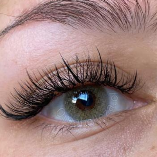 Polar Light Blue Gray Freshlady