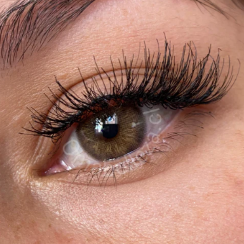 Euphoria Obsession Freshlady