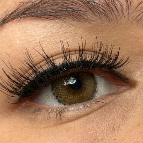 Biella Brown Urban Layer