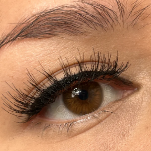 Aurora Brown Urban Layer