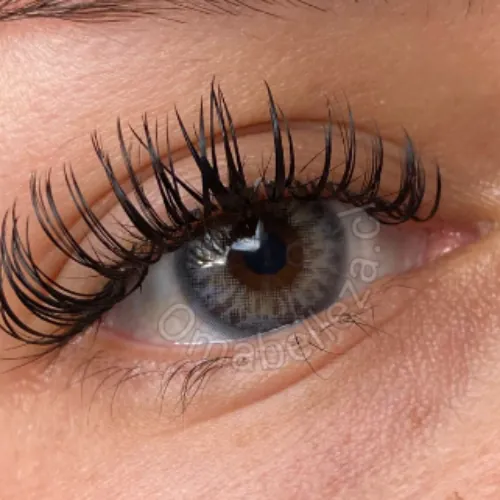 Dna Taylor Blue Gray