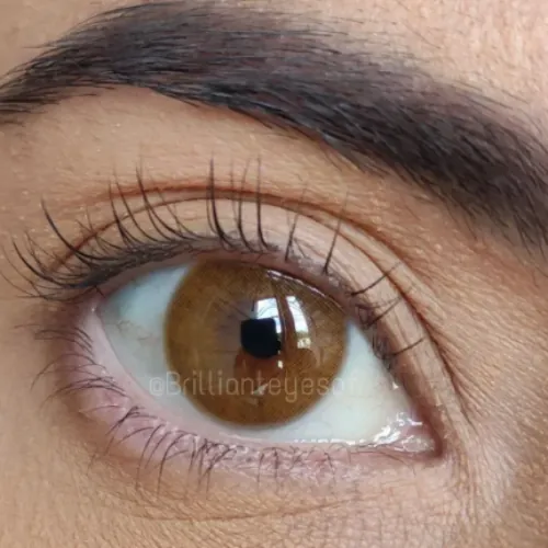 Maldives Milky Brown